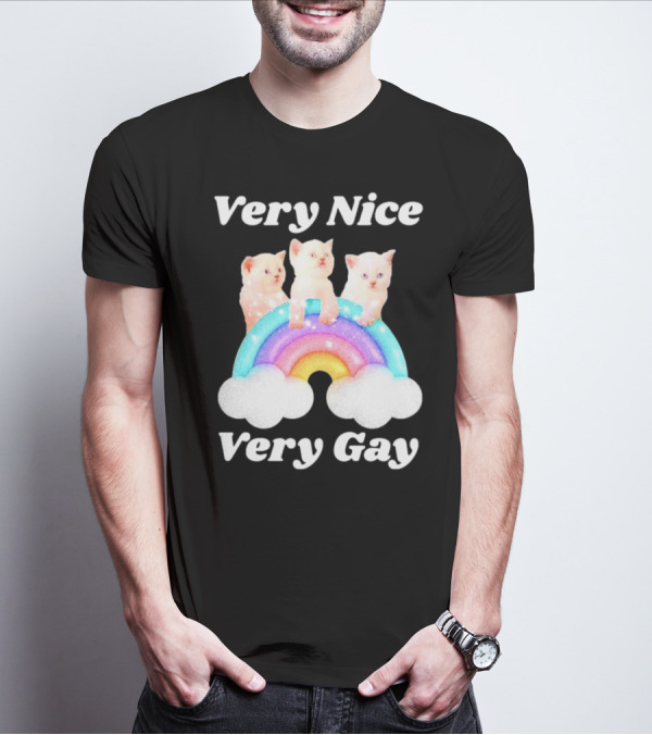 Very Nice Very Gay Cats On Rainbow T-Shirt