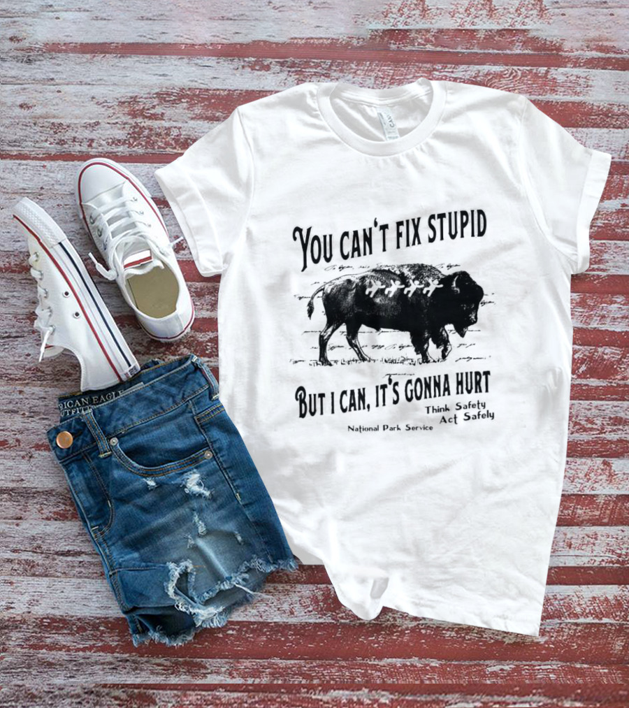 You Can't Fix Stupid But I Can, It's Gonna Hurt Think Safety Act Safely National Park Service T-Shirt