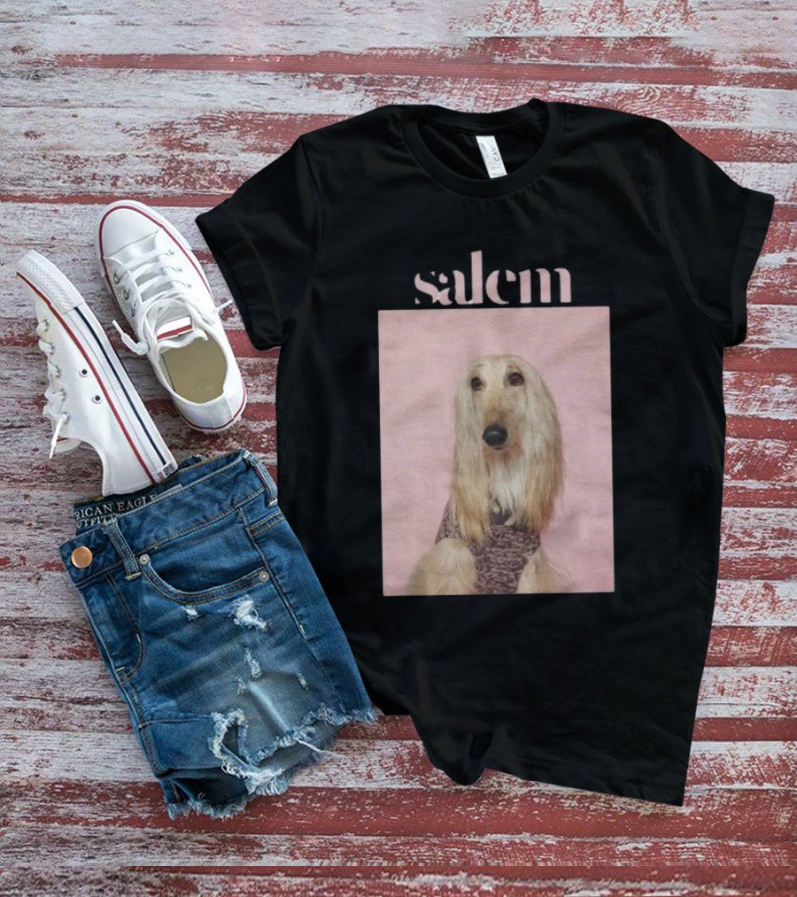 Salem Ilese Dog Afghan Hound Portrait On Pink Background T-Shirt