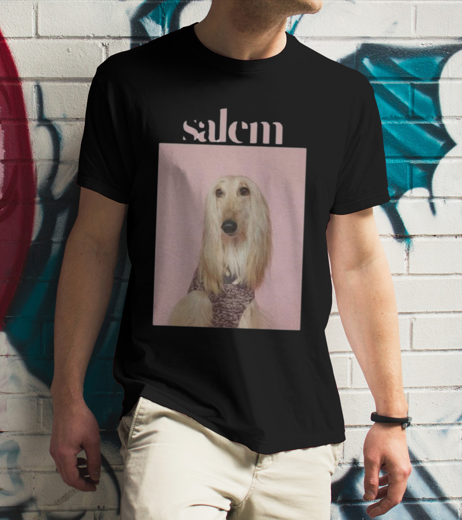 Salem Ilese Dog Afghan Hound Portrait On Pink Background T-Shirt