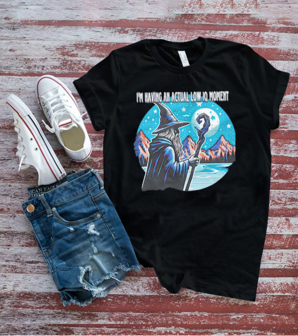 I'm Having An Actual Low IQ Moment Wizard Night Sky Scene T-Shirt