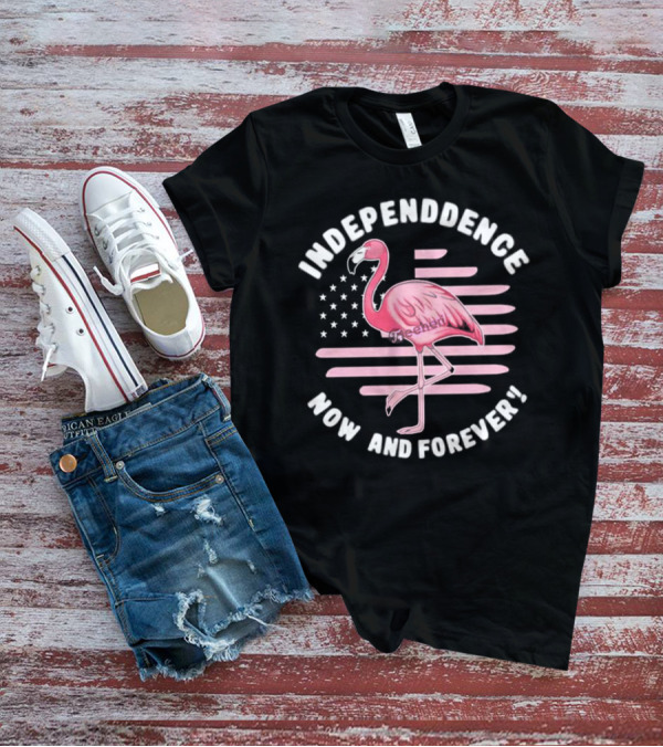 Independence Now And Forever Flamingo America Flag T-Shirt