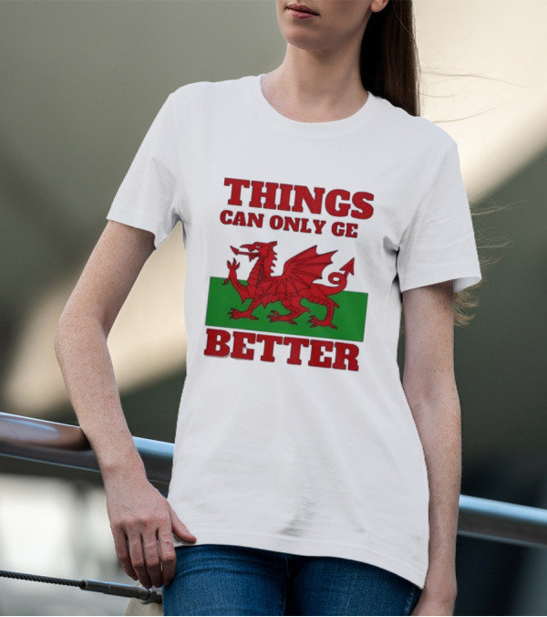 Things Can Only Get Better Welsh Dragon T-Shirt