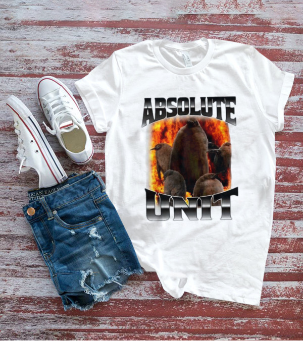Absolute Unit Penguin Fire Bootleg Rap T-Shirt