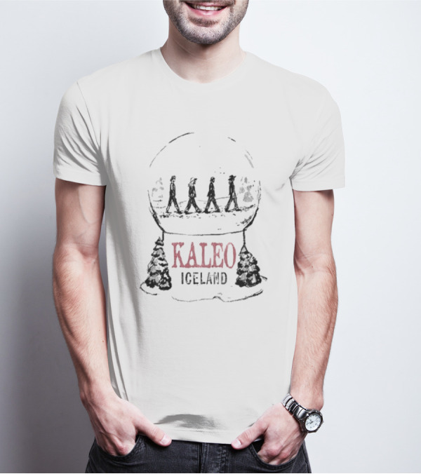 Kaleo Iceland Abbey Road Inspired Snow Globe T-Shirt