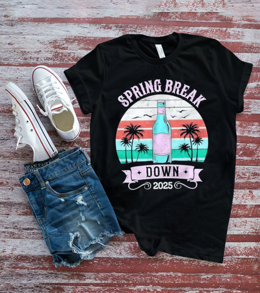 Spring Break Down 2025 Bottle Palms Retro Stripes Vintage Vibe T-Shirt
