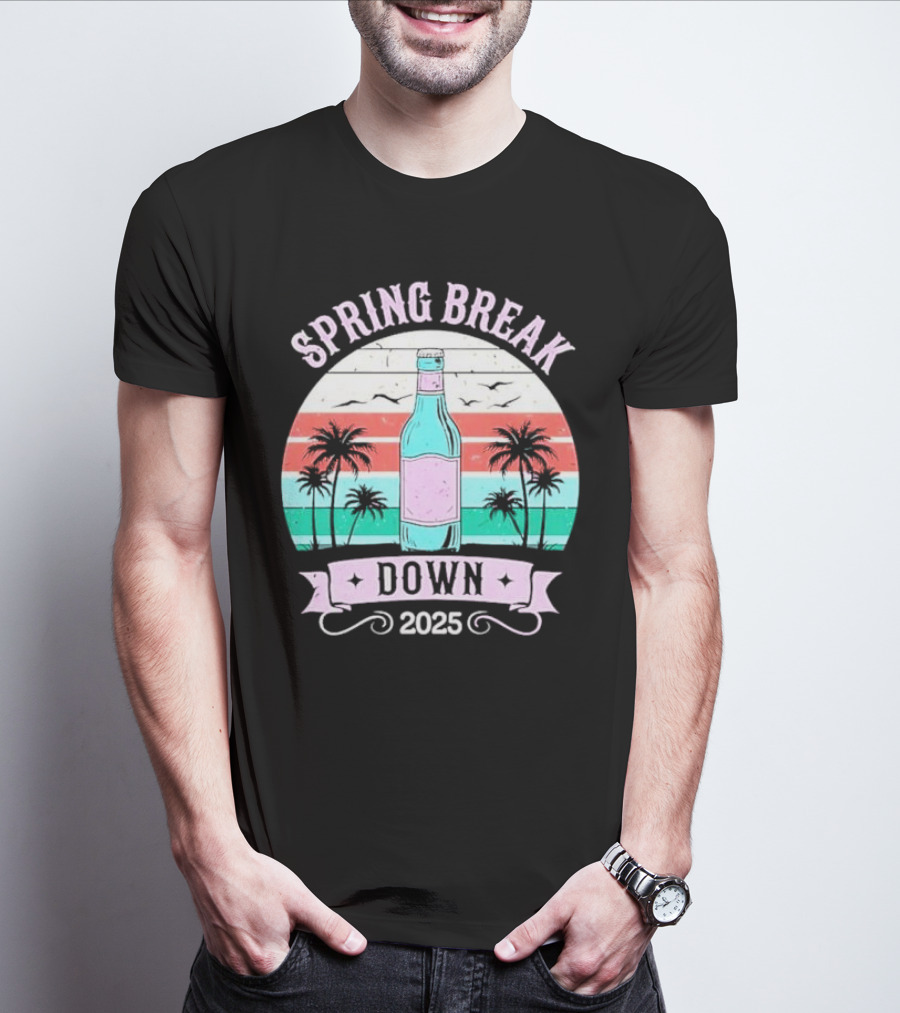 Spring Break Down 2025 Bottle Palms Retro Stripes Vintage Vibe T-Shirt