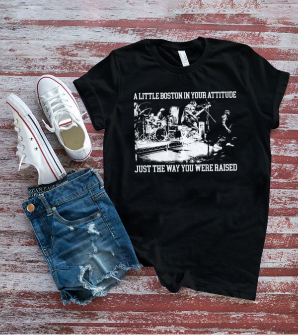 A Little Boston In Your Attitude Just The Way You Were Raised The Menzingers T-Shirt