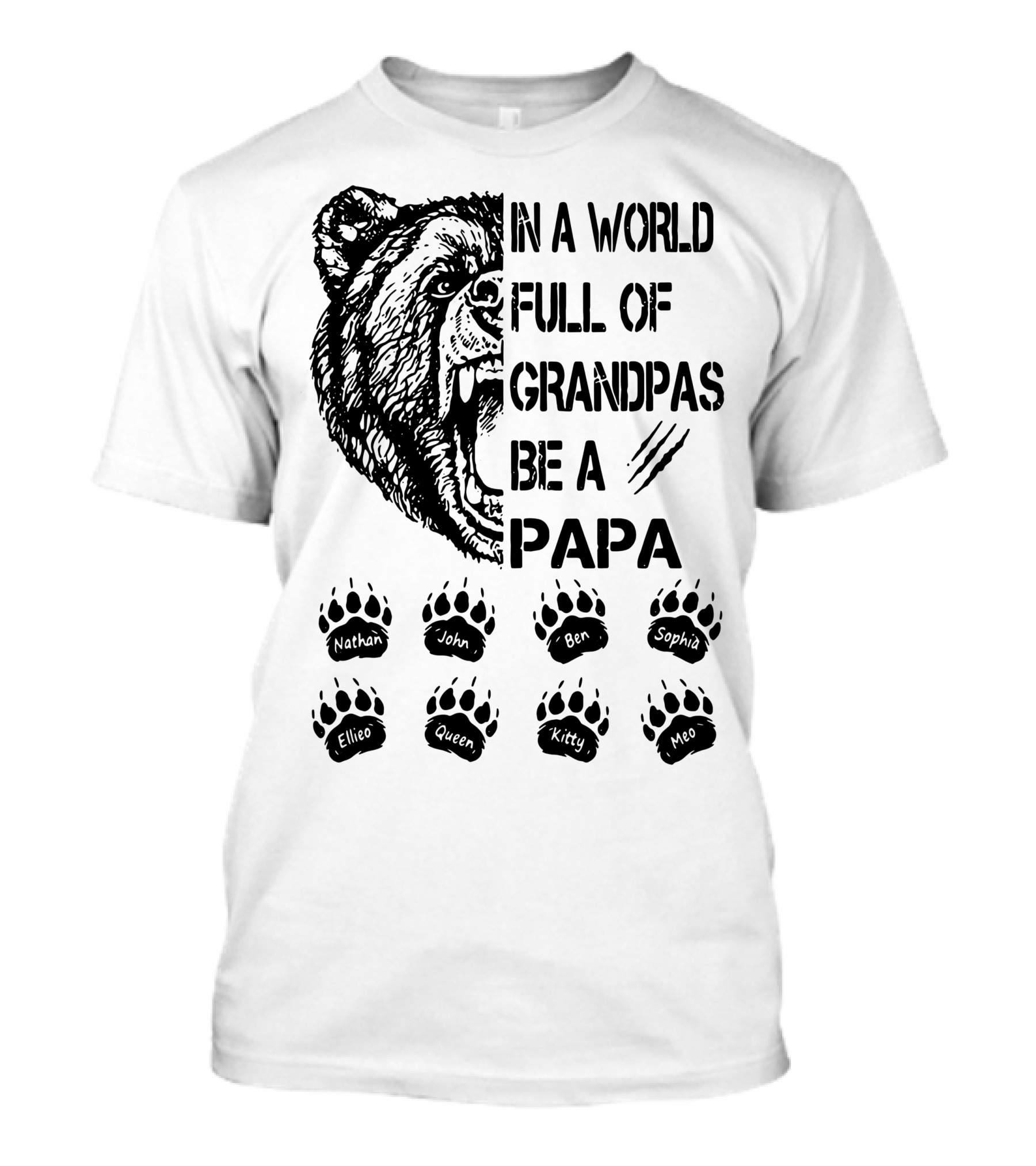 Bear In A World Full Of Grandpas Be A Papa Nathan John Ben Sophia Ellie Queen Kitty Neo T-Shirt