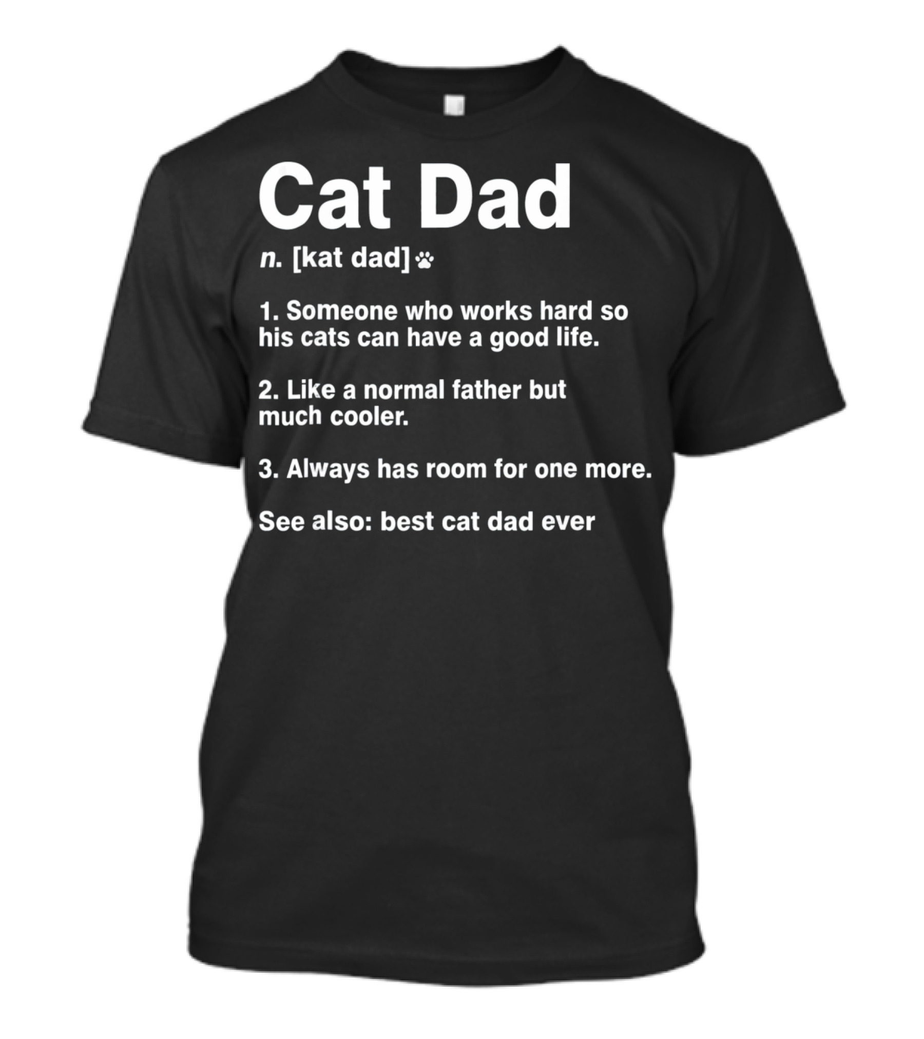 Cat Dad Funny Definition Best Ever T-Shirt