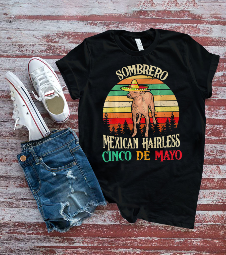 Sombrero Mexican Hairless Cinco De Mayo Vintage Sunset T-Shirt