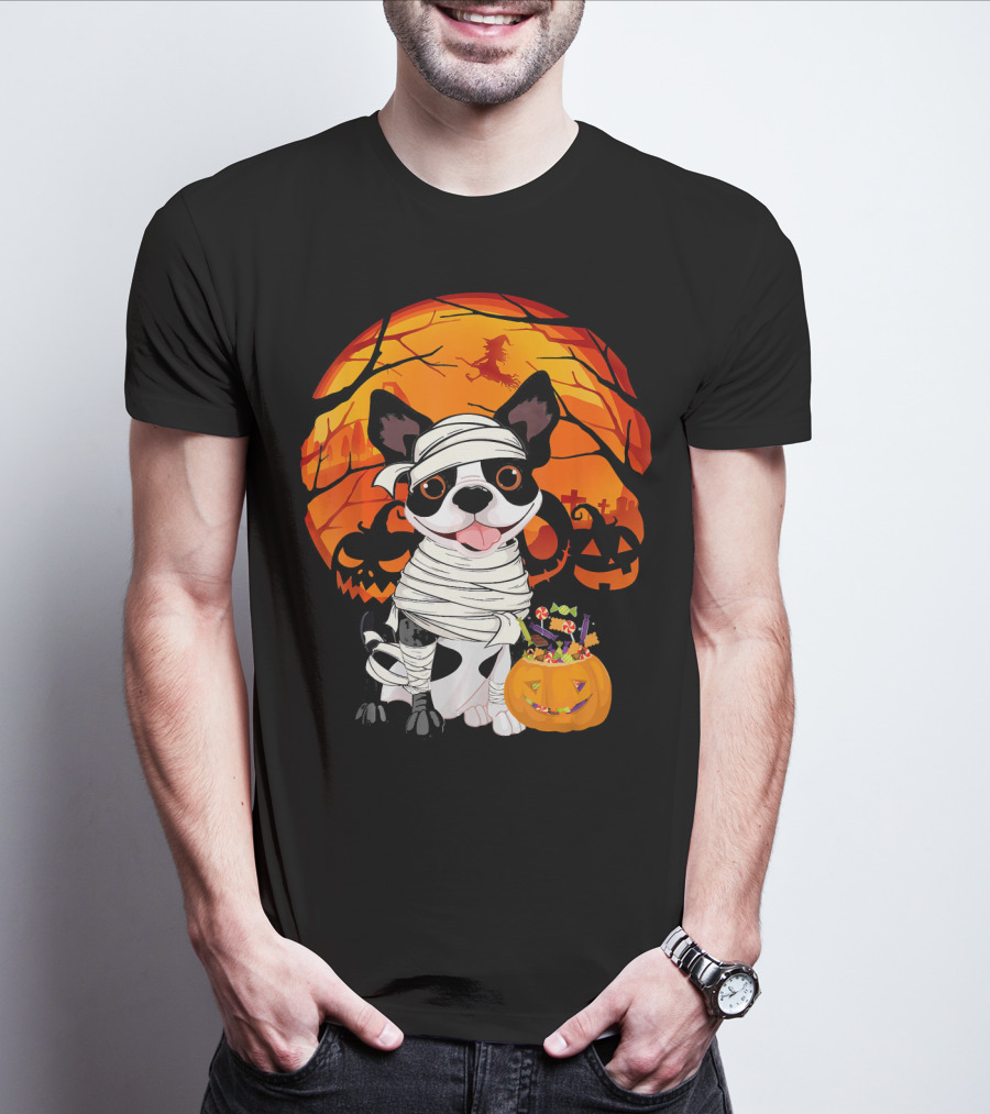Halloween Kids Boston Terrier Mummy With Pumpkin And Witch T-Shirt