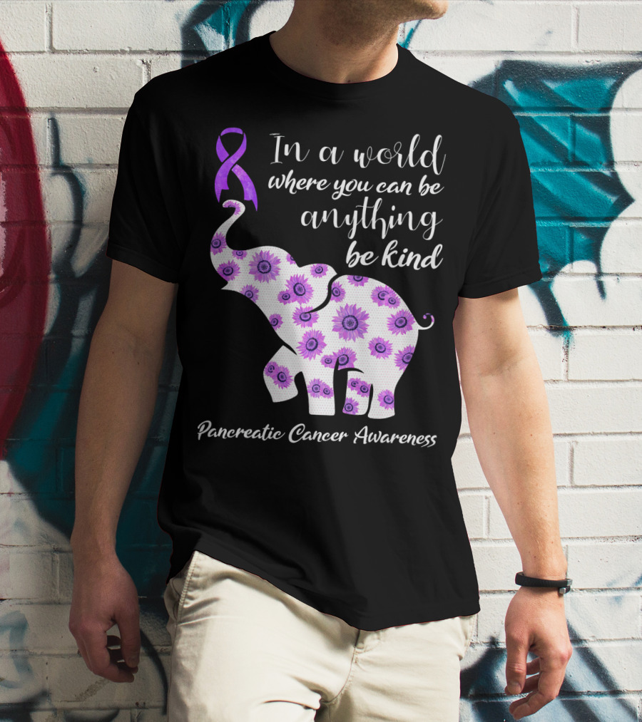 In A World Where You Can Be Anything Be Kind Pancreatic Cancer Awareness T-Shirt