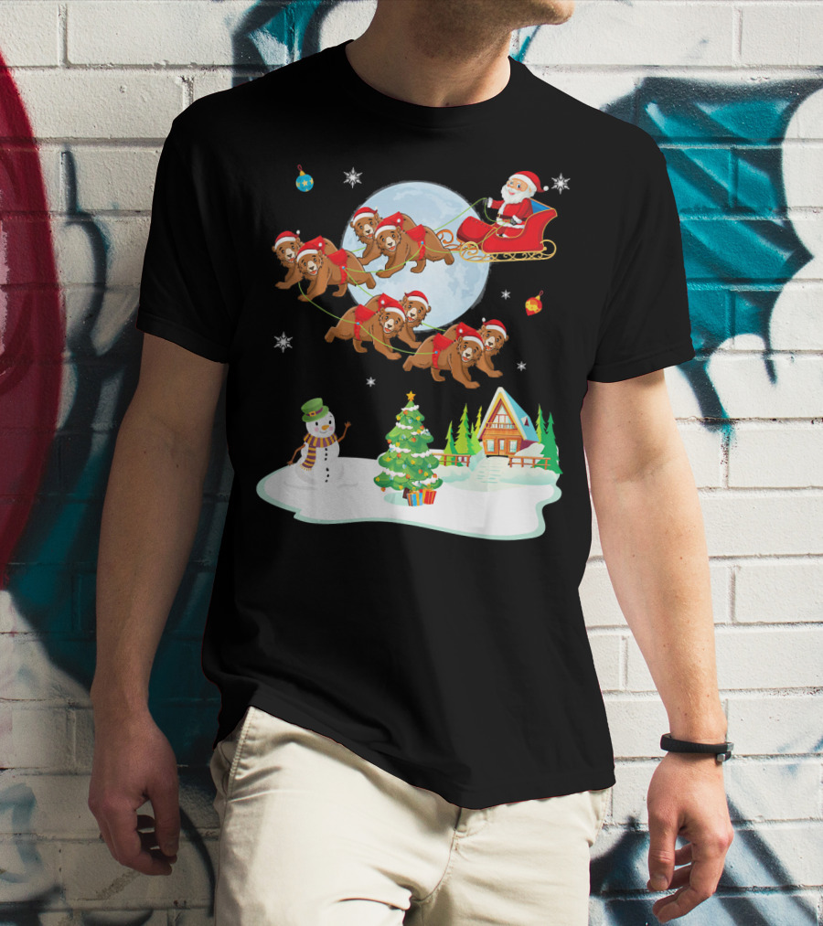 Santa Claus Sleigh With Bears And Snowman By Moonlit Cabin Noel T-Shirt