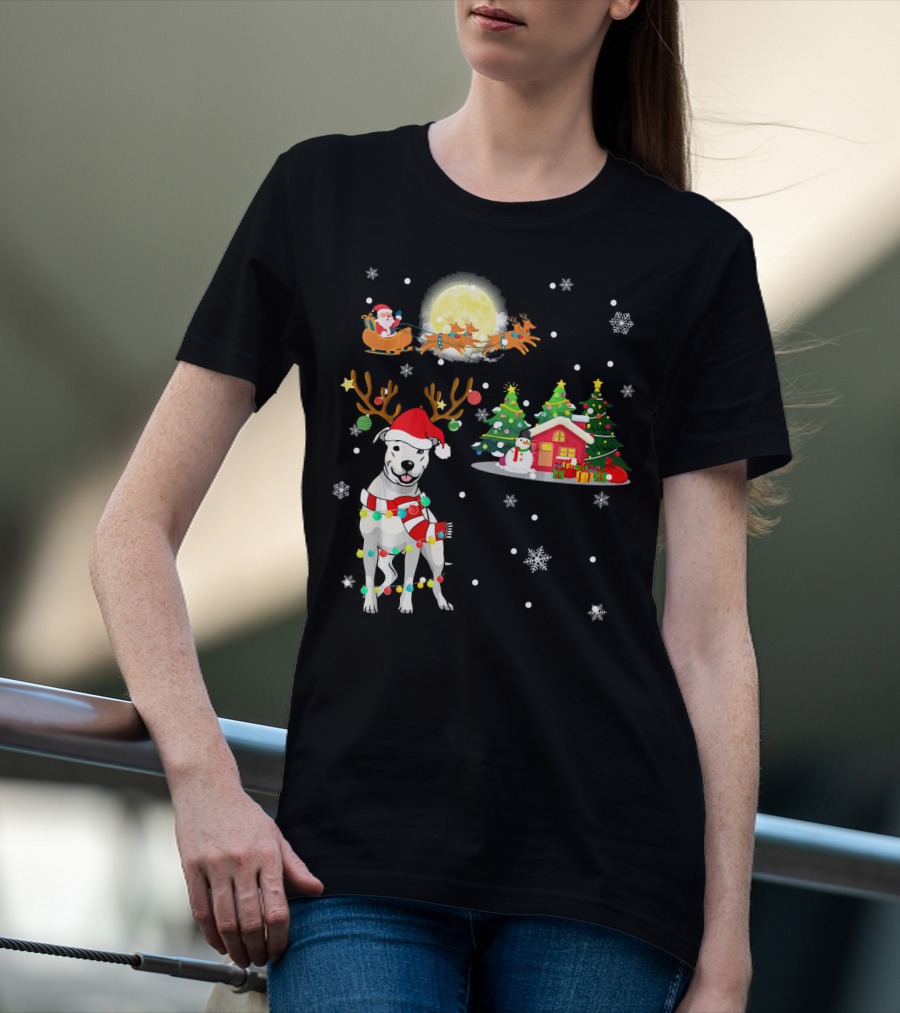 Santa's Sleigh And Festive Dogo Argentino Christmas Wonderland T-Shirt