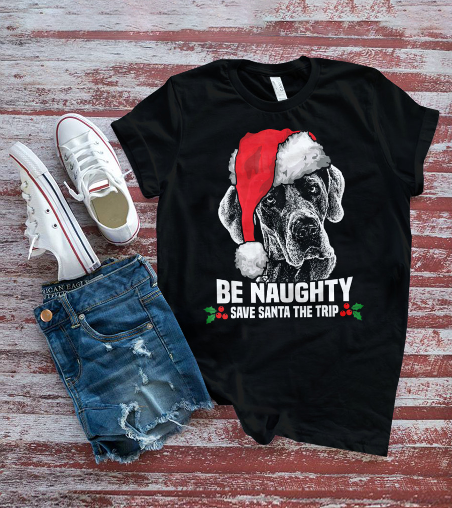 Be Naughty Save Santa The Trip Great Dane Santa Hat T-Shirt