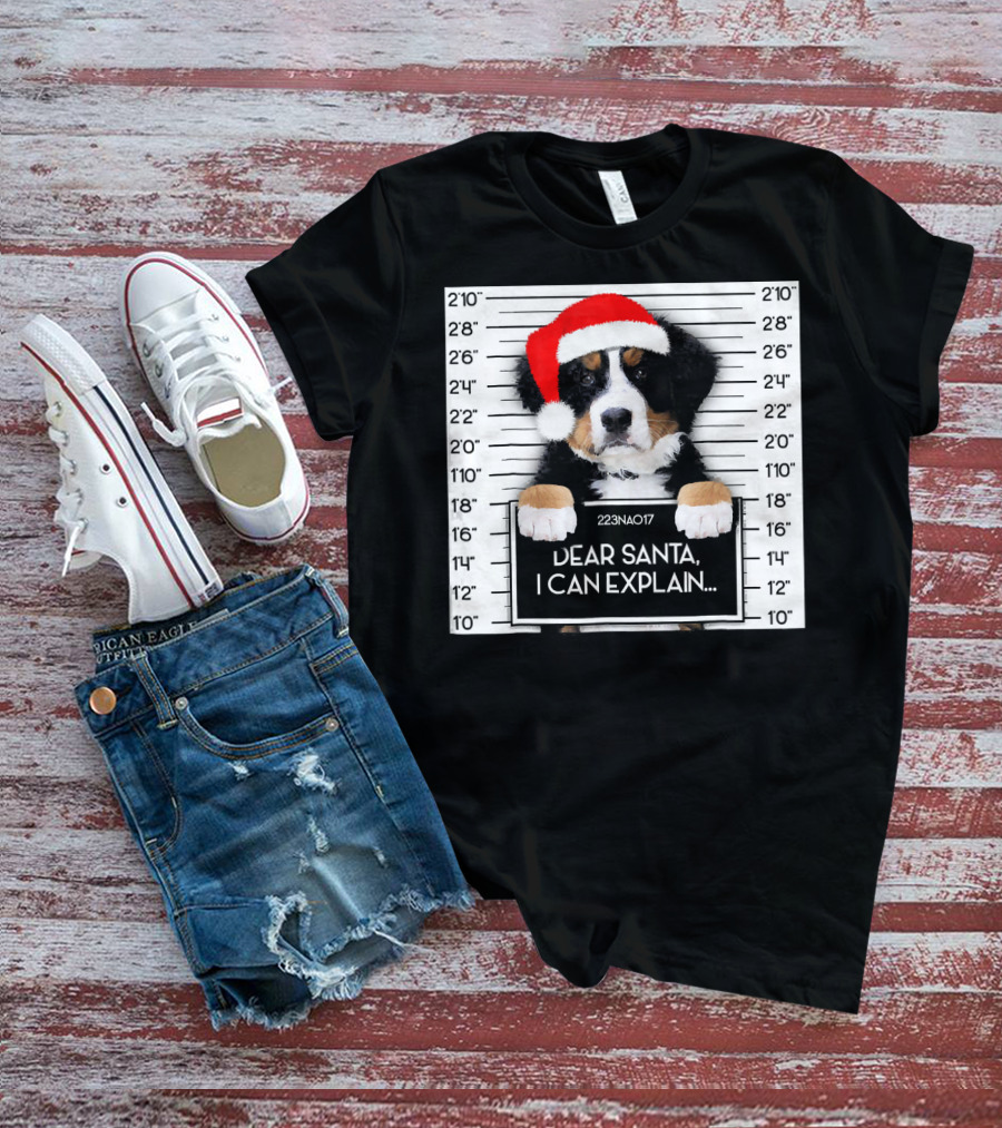 Xmas Bernese Mountain Dog Lover Santa Hat Dear Santa I Can Explain T-Shirt