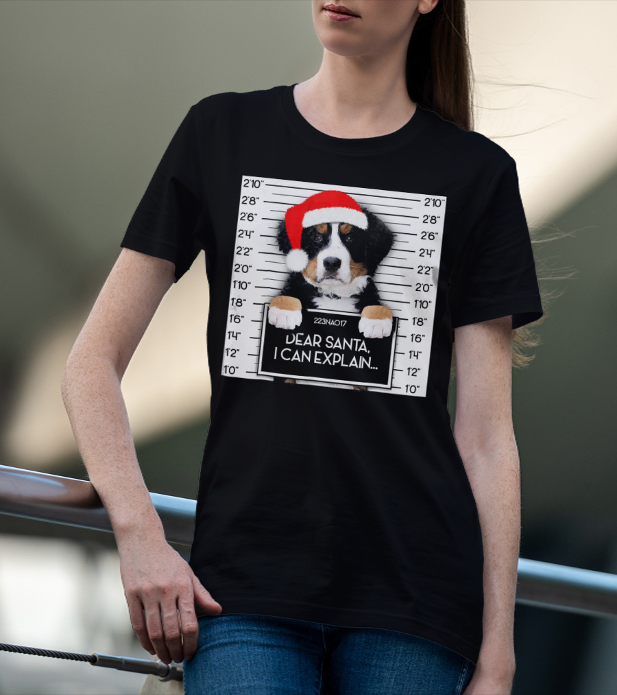 Xmas Bernese Mountain Dog Lover Santa Hat Dear Santa I Can Explain T-Shirt