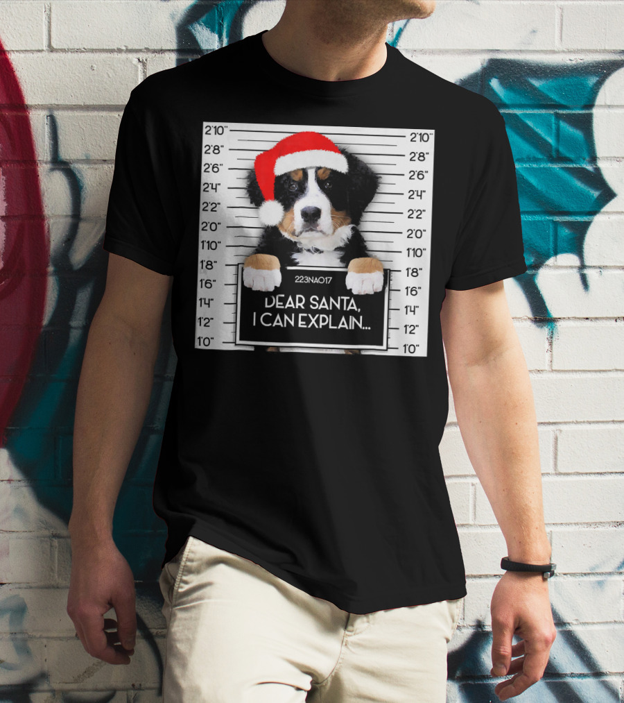 Xmas Bernese Mountain Dog Lover Santa Hat Dear Santa I Can Explain T-Shirt