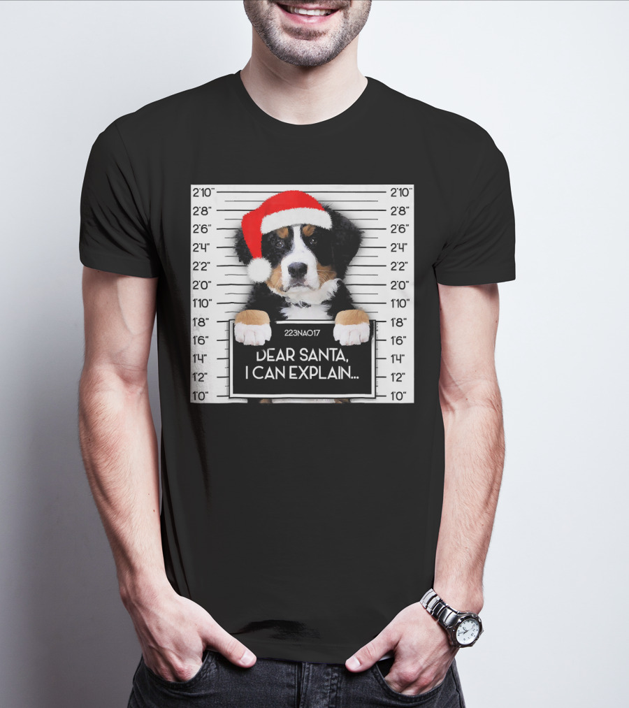 Xmas Bernese Mountain Dog Lover Santa Hat Dear Santa I Can Explain T-Shirt