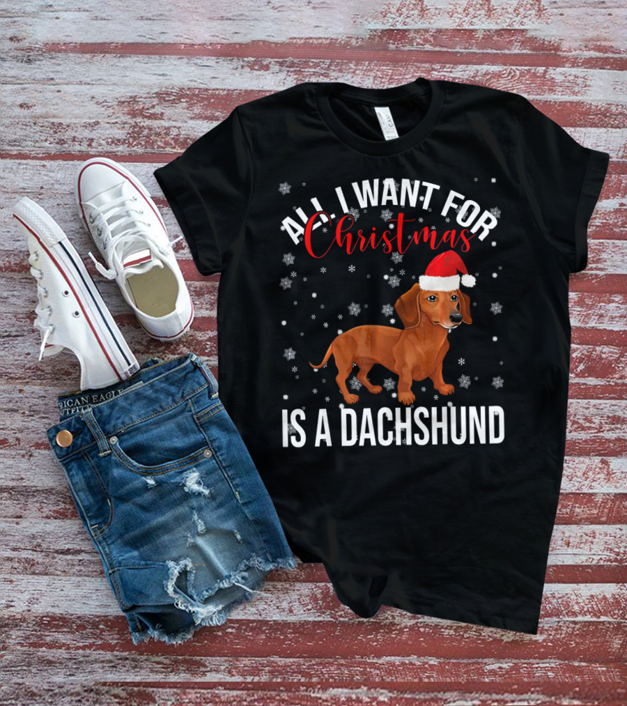 All I Want For Christmas Is A Dachshund Santa Hat Snowflakes T-Shirt