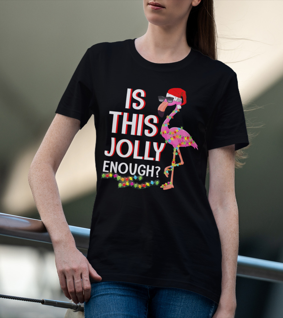 Is This Jolly Enough Flamingo Christmas Lights Santa Hat Sunglasses T-Shirt