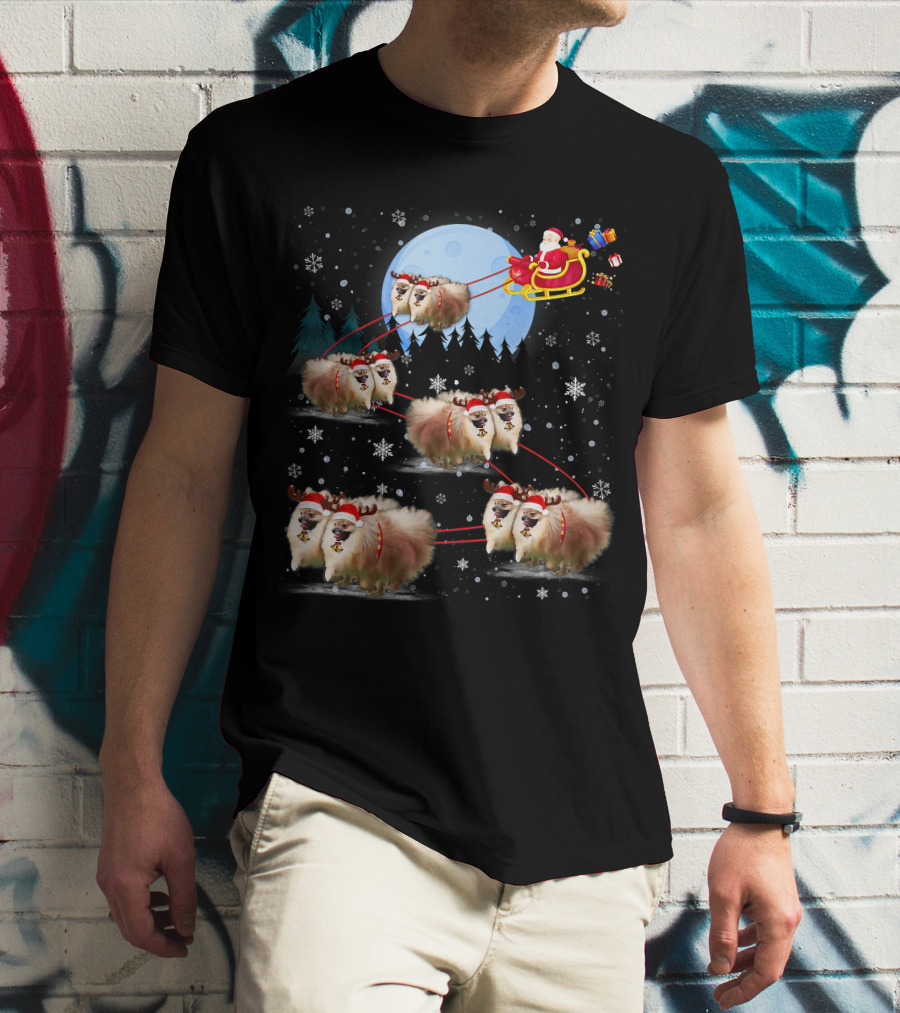 Pomeranian Reindeer Santa Sleigh Christmas Under Moonlight T-Shirt