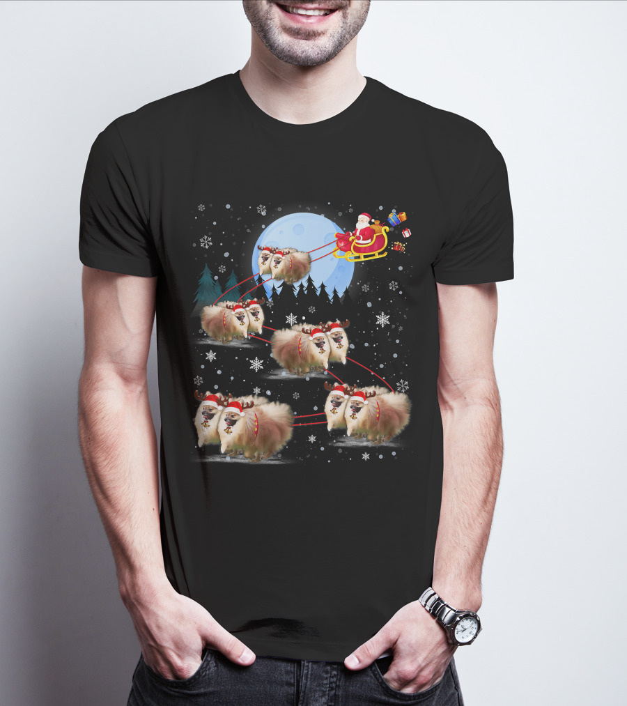 Pomeranian Reindeer Santa Sleigh Christmas Under Moonlight T-Shirt