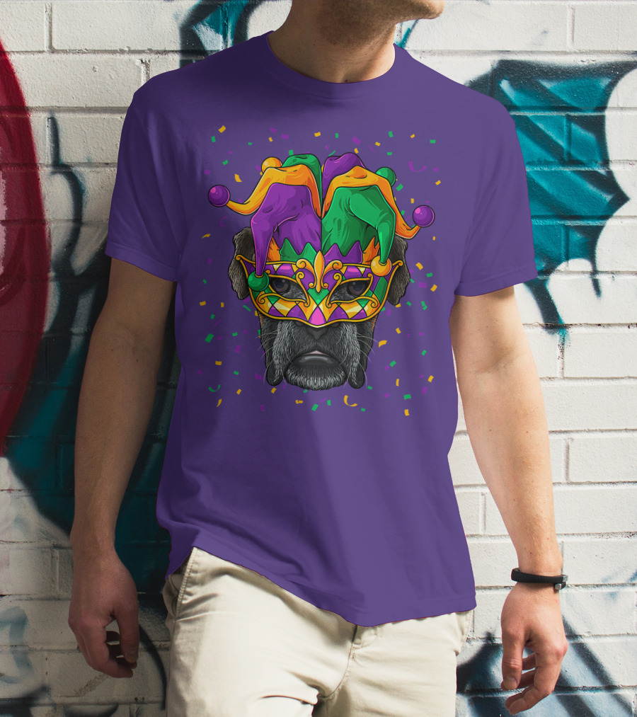 Carnival King Boxer Dog Wearing Jester Mask With Confetti T-Shirt